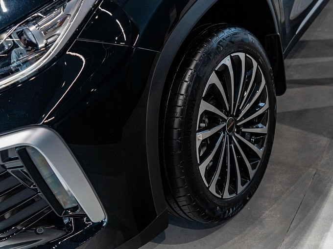 EXEED TXL Prestige 1.6 AMT 4WD (194 л.с.) Сагиттариус фото 17