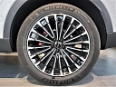 EXEED RX Premium 2.0 AT 4WD (249 л.с.) Галактический серый фото 11