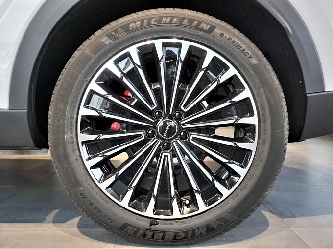 EXEED RX Premium 2.0 AT 4WD (249 л.с.) Галактический серый фото 11
