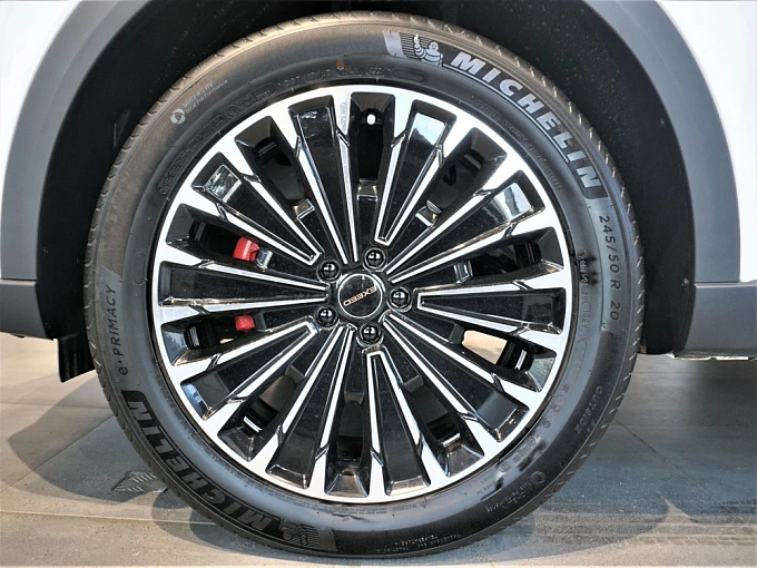 EXEED RX Премиум 2.0 AT 4WD (249 л.с.) Кристаллический белый фото 16