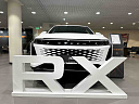 EXEED RX Premium 2.0 AT 4WD (249 л.с.) Кристаллический белый фото 6