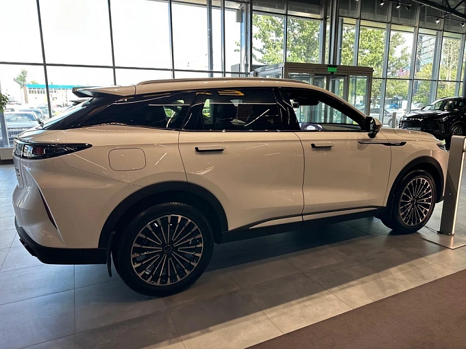 EXEED RX Флагман 2.0 AT 4WD (249 л.с.) Кристаллический белый фото 6