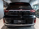 EXEED TXL Prestige 1.6 AMT 4WD (194 л.с.) Сагиттариус фото 5