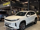 EXEED LX Premium 1.6 AMT 4WD (150 л.с.) Аструм (белый) фото 1